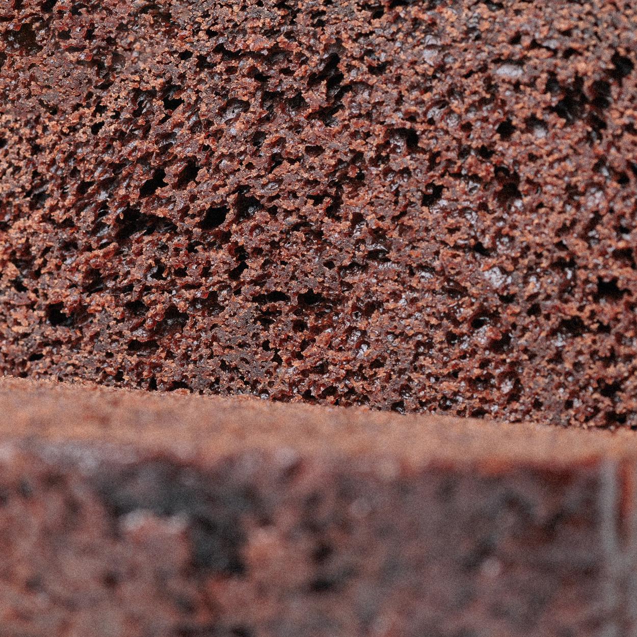 Cake de chocolate bizcocho Mr Carrot Cake